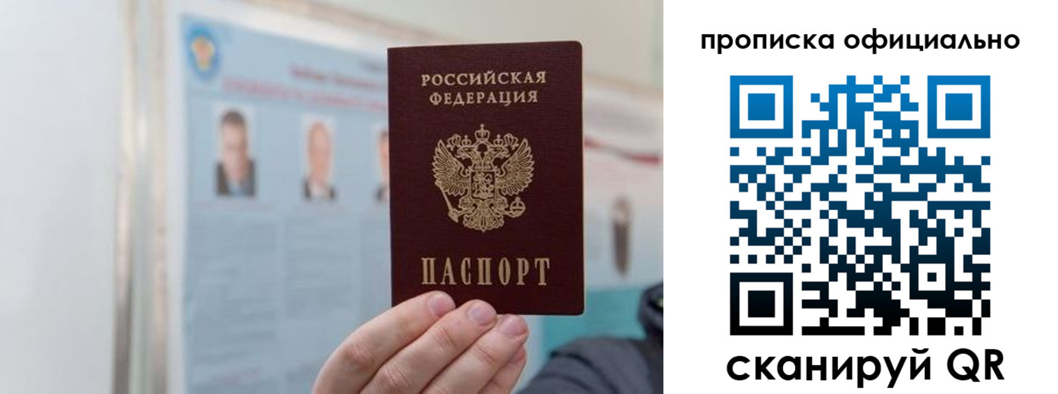 прописка гарантия в Луховицах